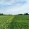 Žemės ūkio paskirties sklypas Padainupio k3